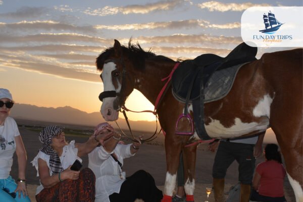 Stargazing Excursion In Hurghada with Jeep 4WD and BBQ - Image 2