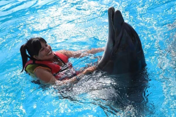 Dolphinrum World: Private Swimming with Dolphins - Image 5