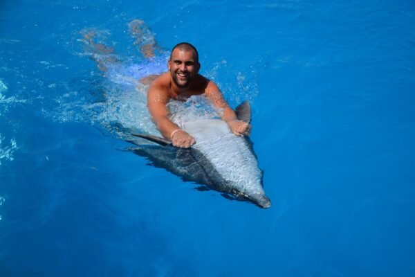 Dolphinrum World: Private Swimming with Dolphins - Image 9