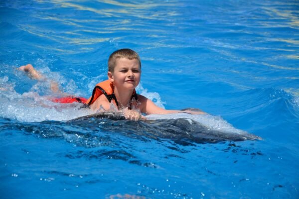 Dolphinrum World: Private Swimming with Dolphins - Image 3